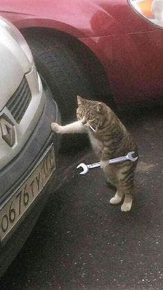 Room wanted in San Francisco Bay Area Main Photo