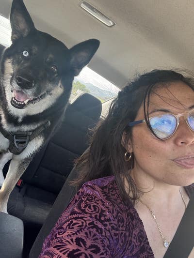 Student Female seeks a small or large room Main Photo