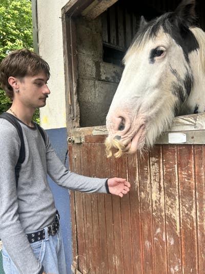 Room wanted in New York Main Photo