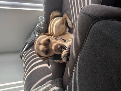 Woman looking for Los Angeles room to rent now Main Photo