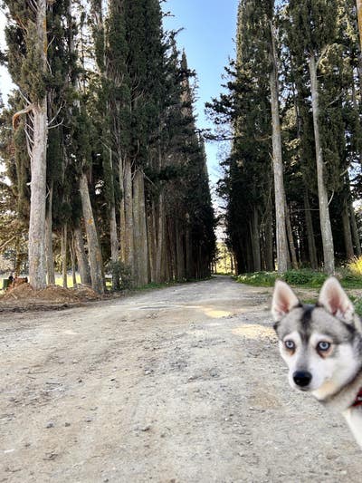 Room wanted in Darien, CT Main Photo