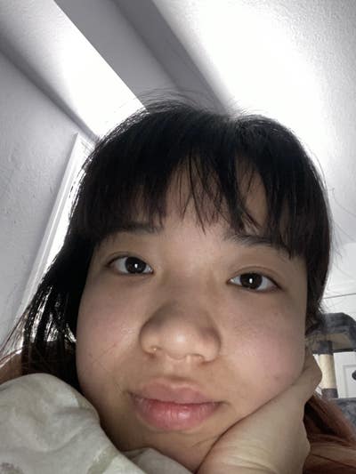 Room wanted in Tampa, FL Main Photo