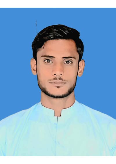 Room wanted in Chicago Main Photo