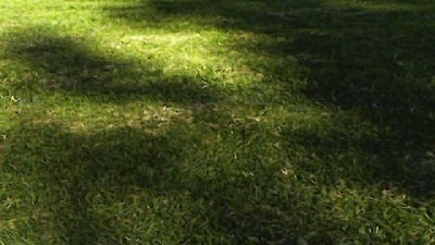 Room wanted in Escondido, CA Main Photo