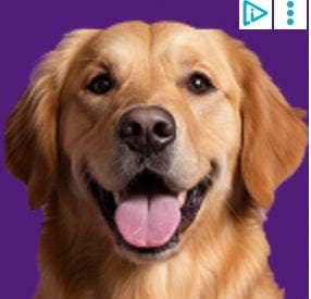 Room wanted in Mira Mesa, CA Main Photo