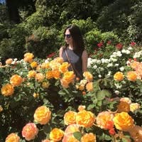 Room wanted in NYC Main Photo