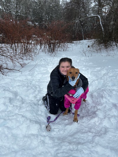 Room wanted in West Yarmouth, Barnstable County... Main Photo