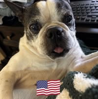 Room wanted in Houston, TX Main Photo