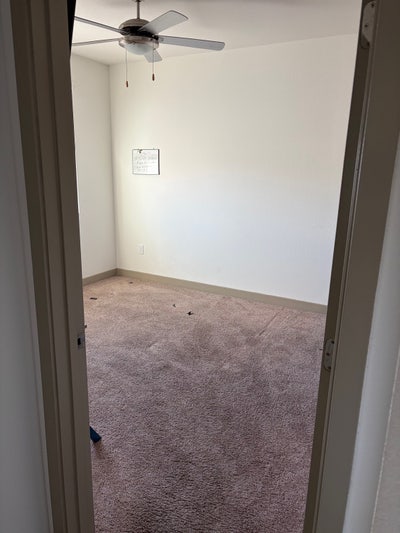 Roommate looking  Main Photo