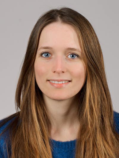 Room wanted in NYC Main Photo