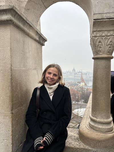 Room wanted in Chicago Main Photo