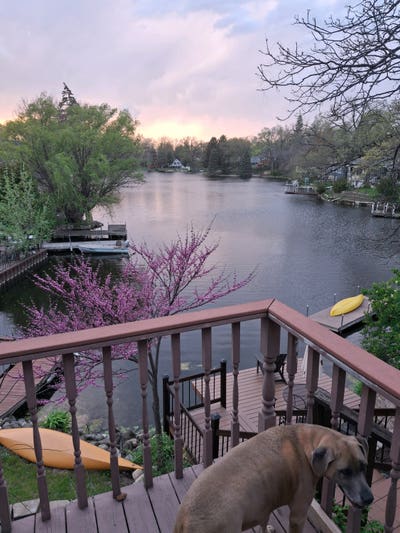 Quiet, calm home seeking compatible roommate.  Main Photo