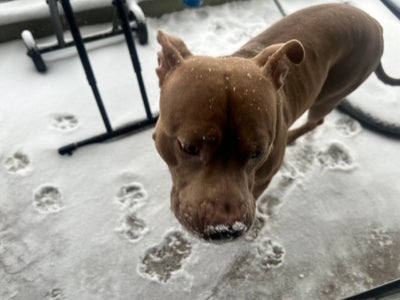 Room wanted in NYC Main Photo