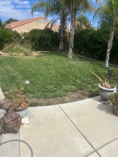 Senior (55+) to share home with clubgouin Del Webb Main Photo