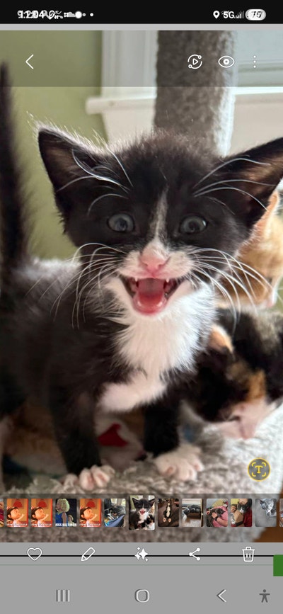 Room wanted in New Jersey Main Photo