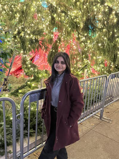 Room wanted in Chicago Main Photo