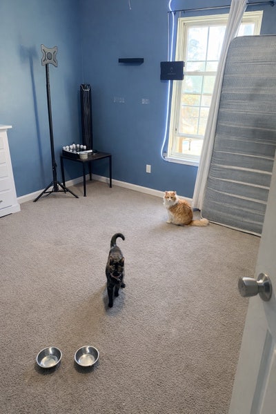 Stone Mountain  Main Photo