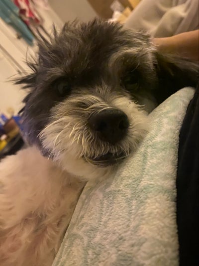 Give us an opportunity please?  Main Photo