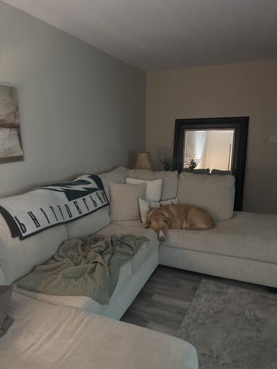 Chester Springs Main Photo