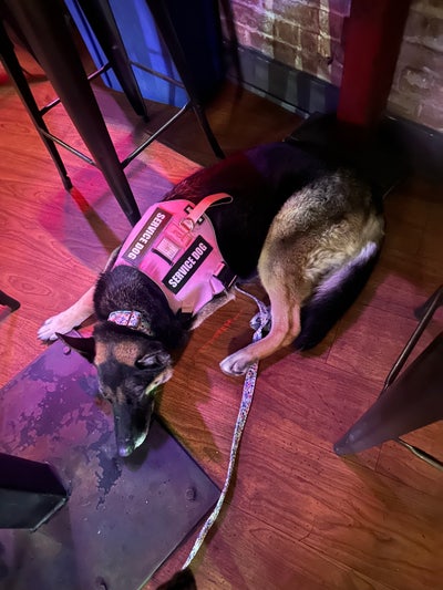 Room for rent in beautiful apartment Main Photo