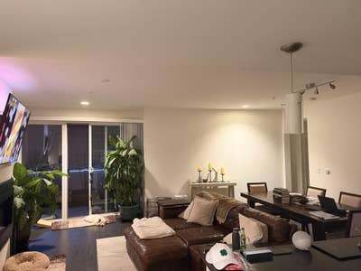 Must love pets Main Photo