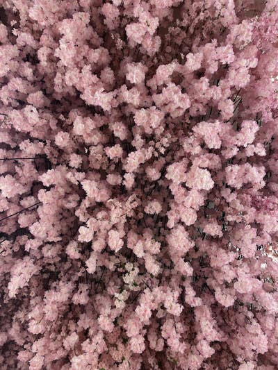 Room wanted in New York Main Photo