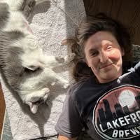 Room wanted in Downers Grove, IL Main Photo