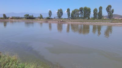 Room wanted in Riverside Main Photo