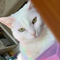 Female looking for a room in Lake Forest CA Main Photo