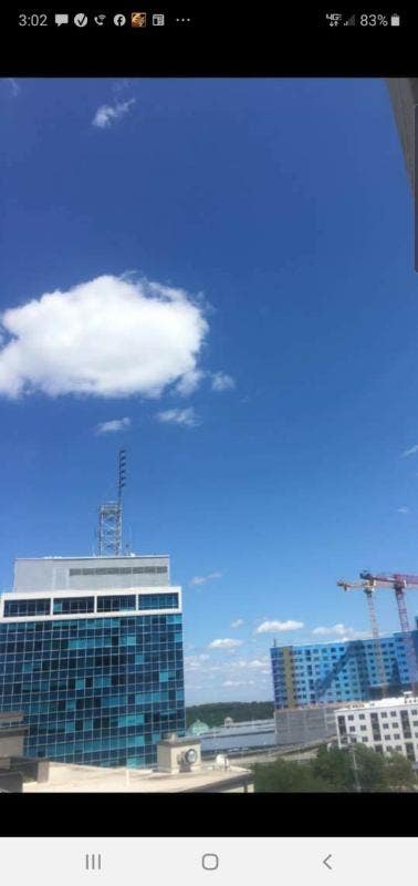 Newly renovated 1 bd 1bh condo in dwntown Towson Main Photo