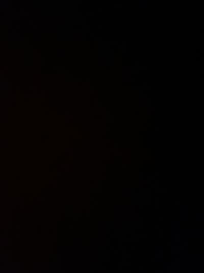 Room wanted in NYC Main Photo