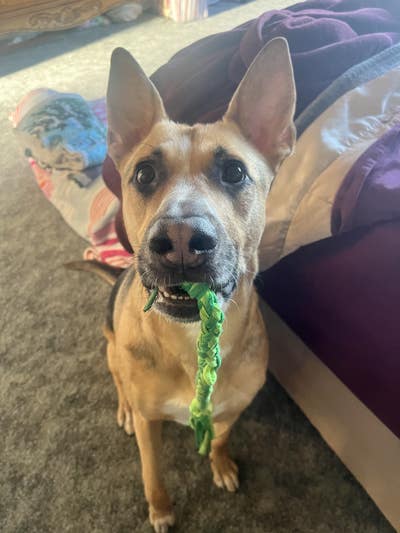 Room wanted in San Diego Main Photo