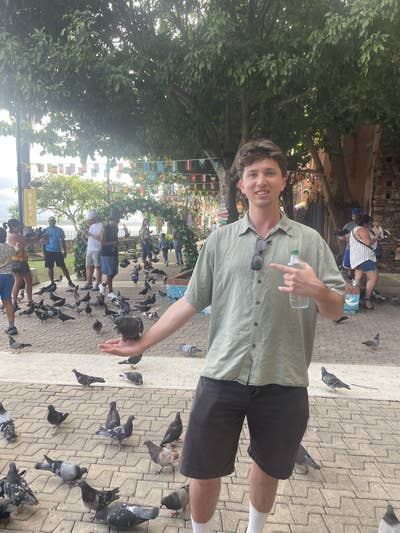 Room wanted in Orange, CA Main Photo