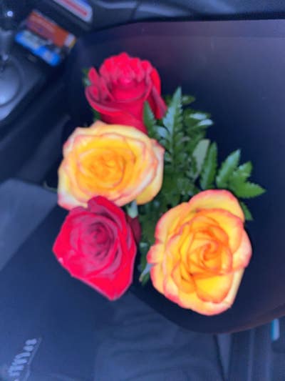 28 year old woman needs Los Angeles room now Main Photo