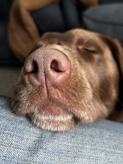 Intern looking for Pasadena room from May 15 Main Photo