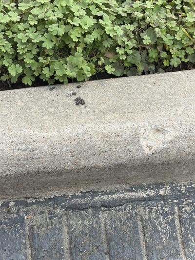 Room wanted in Pearland, TX Main Photo