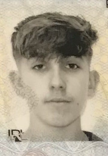 Room wanted in Chicago Main Photo