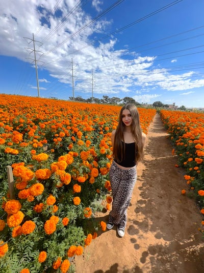 Room wanted in Escondido, CA Main Photo