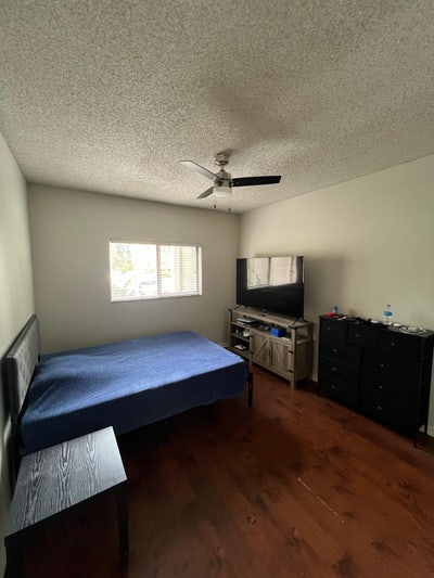 Private room/ private bedroom in Town n Country Main Photo