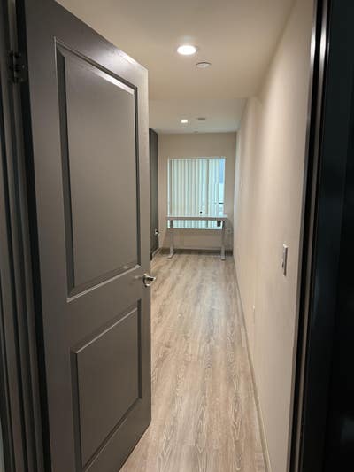 Cat Loving,  Friendly, Female Roommate Wanted! Main Photo