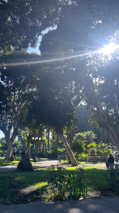 Female student needs West Hollywood room now Main Photo