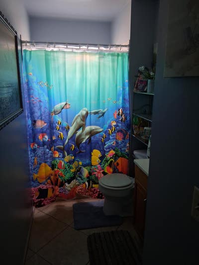 Theme Park Central  Main Photo