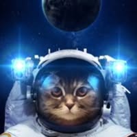 Room wanted in Pinellas Park, FL Main Photo