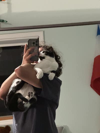 Room wanted in New York Main Photo