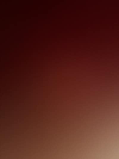 Student needs room in Los Angeles for $500 Main Photo