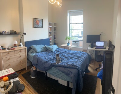 Cozy Room with all the perks - Heart of Bed-Stuy Main Photo