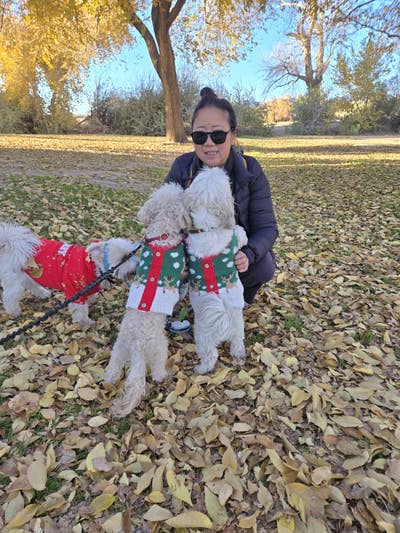 Room wanted in Las Vegas Main Photo