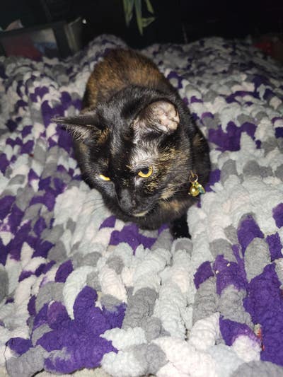 Male age 51 looking for a room in Pomona CA Main Photo