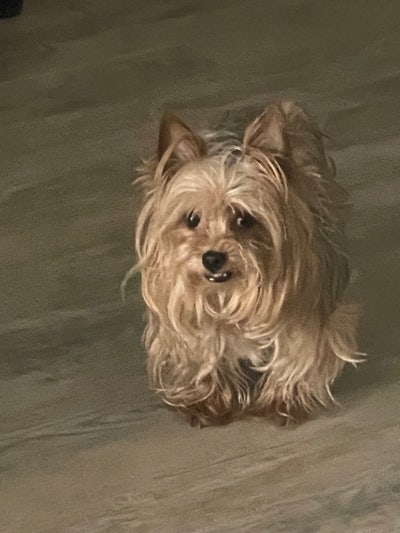 Looking for short-term weekly Main Photo