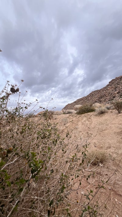 Adult male searching for Santa Monica room Main Photo